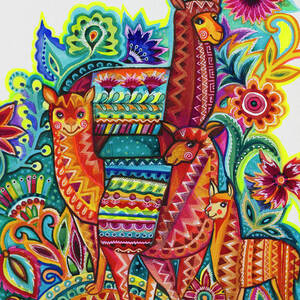 Alpaca From Mexico by Oxana Zaika