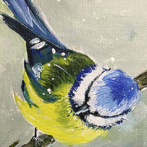 Blue Tit in Snow by Roxy Rich