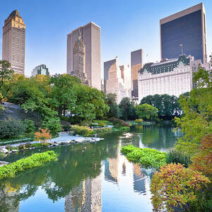 New York City Skyline, Central Park by Dszc