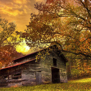 Chill of an Early Fall by Debra and Dave Vanderlaan