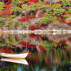 Dory on a Maine Lake in Autumn by Olivier Le Queinec
