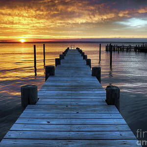 Sunset Silhouette Photograph by Mark Miller | Fine Art America