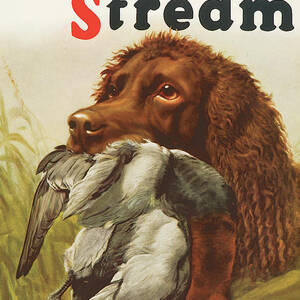 Field & Stream Magazine Cover February 1935 by Field & Stream
