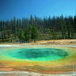 Green And Yellow Minerals And Algae In Hot Spring by Science Photo Library