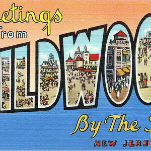 Wildwood Greetings - Version 4 by Mark Miller
