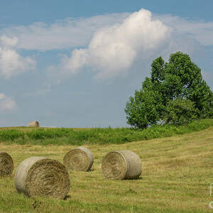 Heartland by Amfmgirl Photography