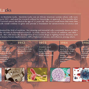 Hela Timeline, Infographic by Science Source
