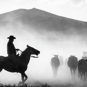 His Territory! by Yavuz Pancareken