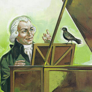 Mozart and the Starling by Angus McBride