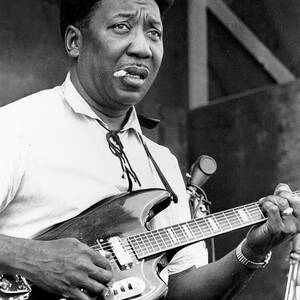 Muddy Waters Live At The Ann Arbor by Tom Copi