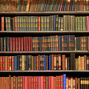 Old Books In Library Shelf by Luoman