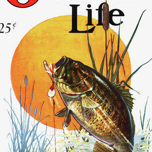 Outdoor Life Magazine Cover July 1963 Drawing by Outdoor Life