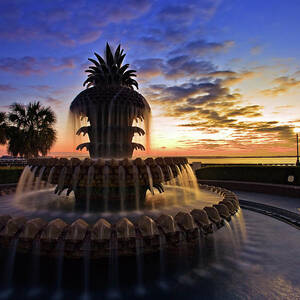 Pineapple Fountain In Charleston by Sam Antonio Photography