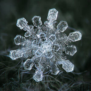 Real snowflake - 04-Feb-2018 - 1 by Alexey Kljatov