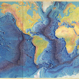 Relief map of the World Ocean Floor by Unknown