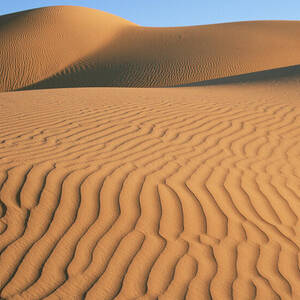 Sand Desert, Barik, Oman. by Hanne & Jens Eriksen / Naturepl.com