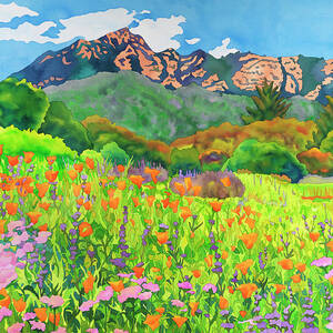 Santa Barbara Botanic Garden by Carissa Luminess