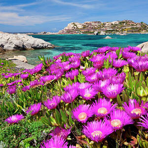 Sardinia, La Maddalena, Italy by Olimpio Fantuz