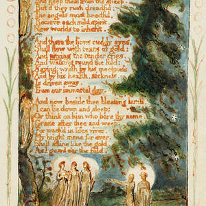 Songs of Innocence and of Experience Night -second plate- When wolves and tygers howl for prey. by William Blake
