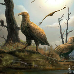 Teratornis Prehistoric Birds Of Prey by Science Photo Library