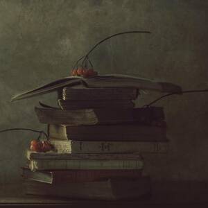 The Old Books by Delphine Devos