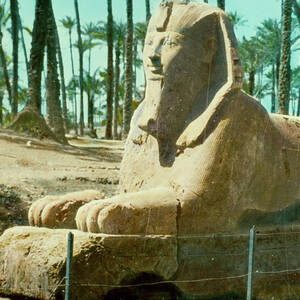 The Sphinx of Memphis by 