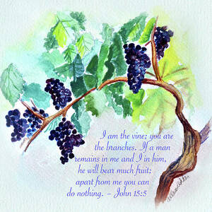 Vine and Branch with Scripture by Allison Ashton