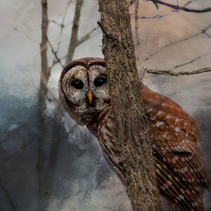 Who Goes There by Jerry Dalrymple