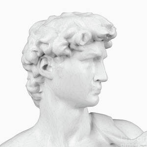 Wireframe David Statue by Sebastian Kaulitzki/science Photo Library