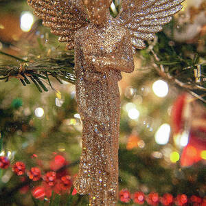 1201_Bokeh by Mark Triplett