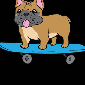 Skateboard Frenchie Sketchbook: Funny Skateboarding French Bulldog 8x10 120  Page Childrens Drawing Book Dog Riding Skateboard Kids Novelty Gift Sketch  a book by Dream Journals