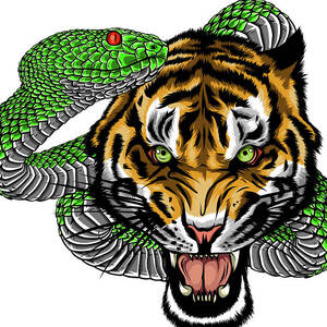 Snake And Tiger Fighting, Vector Digital Art by Dean Zangirolami