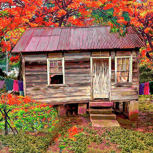 Old House Guyana 1b Digital Art by James Mingo | Fine Art America