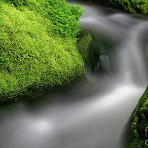 Waterfall and Mossy Rocks #1 Photograph by Colin Woods - Fine Art