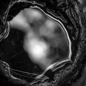 Abstract Nature Reflection BW by David Gordon