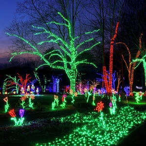 Meadowlark Botanical Gardens Winter Walk Of Lights Vienna