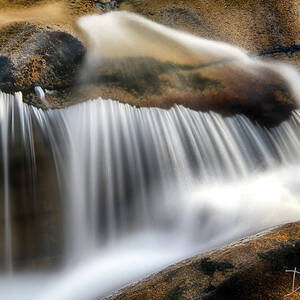 Ammonoosuc Cascade 4456 by Dan Beauvais