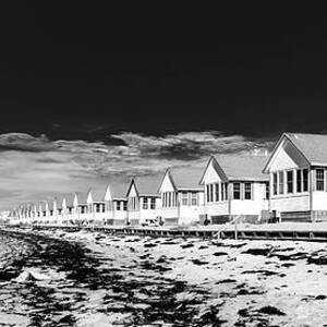 Beach Houses by David Lee