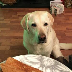 Can I have some. by Gordon James