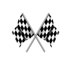 Checkered Flag, Cloth, WIN, WINNER, Chequered Flag, Motor Sport 