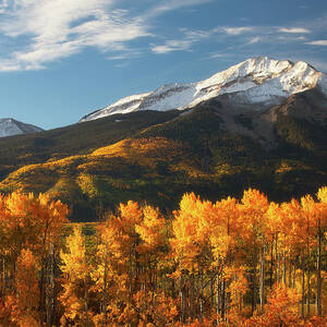 Colorado Gold by Darren White