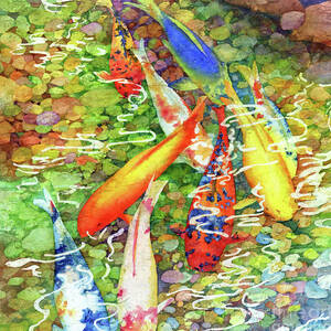 Coy Koi - Stream by Hailey E Herrera