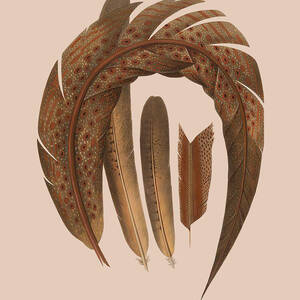 Decorative Feather Art by Madame Memento