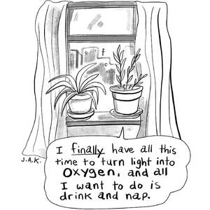 Drinking and Napping by Jason Adam Katzenstein
