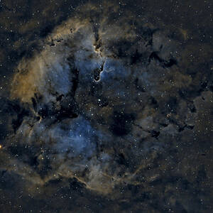Elephant Trunk Nebula in HOO palette by Brian Weber