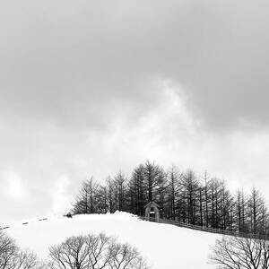 Elevation by Mia Badenhorst