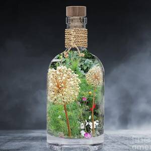 Elixir Summer Memories  by Alexandra Vusir