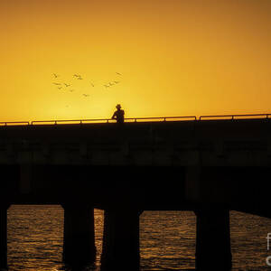 End of Day by DB Hayes