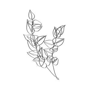 https://render.fineartamerica.com/images/rendered/square-dynamic/small/images/artworkimages/mediumlarge/3/eucalyptus-leaves-one-line-art-doodle-intent.jpg