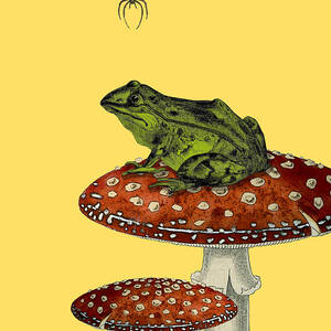 Green frog on toadstool antique french book page art Digital Art by ...